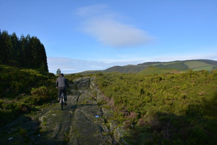 Darwin in Terceira