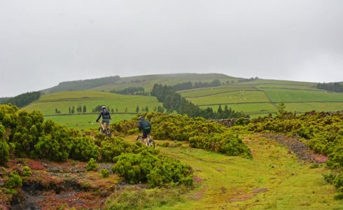 Center of the Island MTB