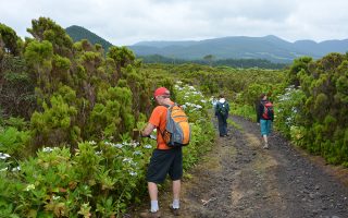 Botanical Tour