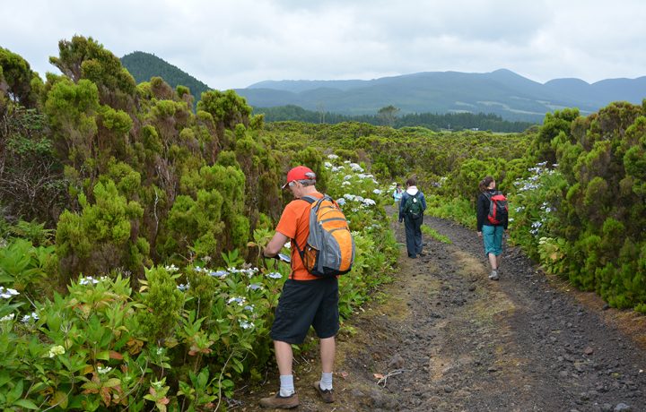 Botanical Tour