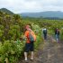 Botanical Tour